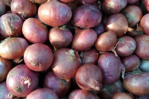 Сайт mega onion